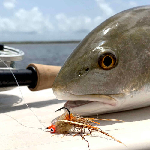Sight Cast Longhorn Crab - Flies from Alamo Anglers