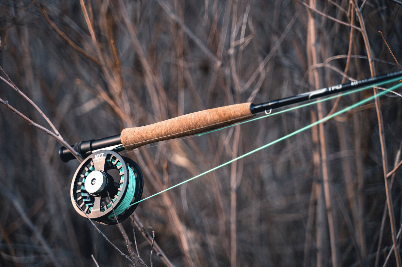 TFO NXT Black Label Kit 8wt 9'0" 4pc - from Alamo Anglers