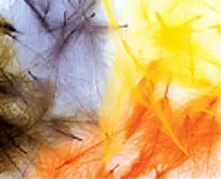 C.D.C. (Cul-De-Canard) - from Alamo Anglers