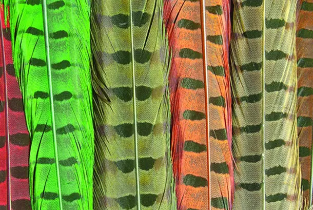 Ringneck Pheasant Tail Feathers Natural Cock - from Alamo Anglers